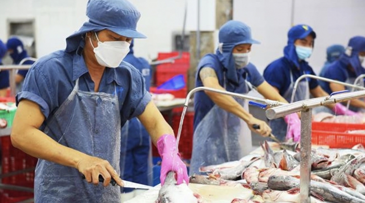 Vietnam’s pangasius exports climb to over US$1.2 billion in seven months